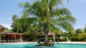 a palm tree sitting next to a swimming pool at Villa Type Africaine in Saly Portudal