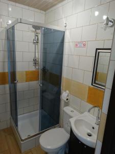 a bathroom with a shower and a toilet and a sink at u Skiby in Krajno Pierwsze