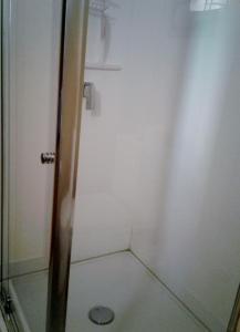 una ducha con puerta de cristal en un baño en Woodenbong Bed and Breakfast, en Woodenbong