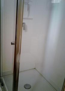 a shower with a glass door in a bathroom at Woodenbong Bed and Breakfast in Woodenbong