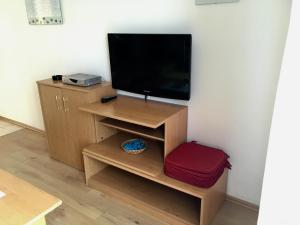 TV a/nebo společenská místnost v ubytování Apartments Villa Emilija