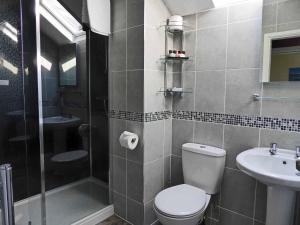 a bathroom with a toilet and a sink and a shower at Bryn Melyn Apartments in Barmouth