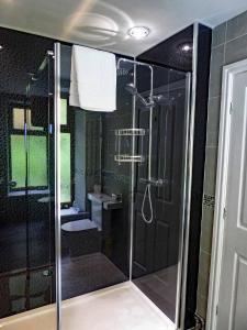 a shower with a glass door in a bathroom at Bryn Melyn Apartments in Barmouth