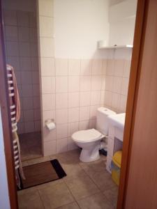 łazienka z toaletą i umywalką w obiekcie Agroturystyka Andrzejówka w mieście Czerniki