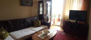 a living room with a couch and a table at Apartman Glomazic in Žabljak
