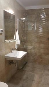 łazienka z umywalką i prysznicem w obiekcie Apartments Spada w Poreču