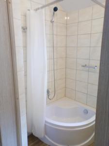 スヴェトロゴルスクにあるRoshenのバスルーム(シャワー、トイレ付)