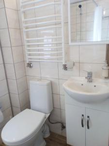 スヴェトロゴルスクにあるRoshenの白いバスルーム(トイレ、シンク付)