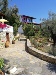 a stone pathway leading to a house with flowers at Christou Homes in Steni Vala Alonissos