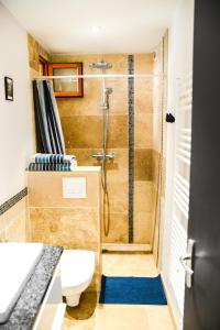 ein Bad mit einer Dusche und einem WC in der Unterkunft Le Sureau in Avignon