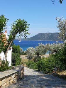 a path leading to a lake with a boat in the distance at Christou Homes in Steni Vala Alonissos