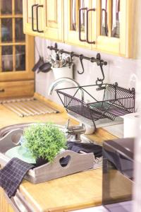 a kitchen sink with a dish drying rack and a plant at Apartament PREMIUM Blanka in Poronin