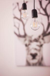 three lights hanging on a wall with a deer head at Apartament PREMIUM Inga in Poronin