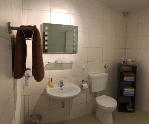 a bathroom with a toilet and a sink and a mirror at Ferienwohnung Poll in Wimbach