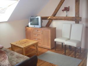TV a/nebo společenská místnost v ubytování Apartamenty wakacyjne nad jeziorem Juksty