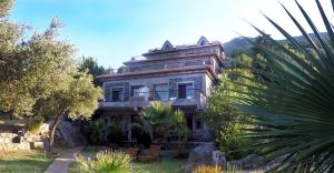 Сад в Frictories station of residency
