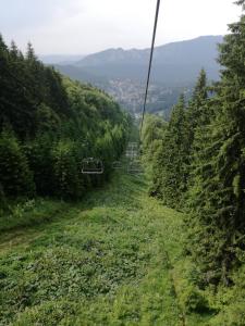 a gondola ride up a hill in the mountains at Spa-ul Schiorilor in Predeal