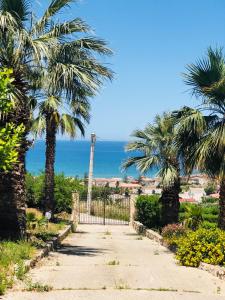 um caminho com palmeiras e o oceano no fundo em Aurora Home em Alcamo Marina
