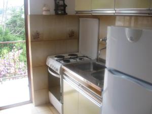 A kitchen or kitchenette at Jelsa Apartments