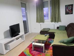 TV a/nebo společenská místnost v ubytování Modern apartment + 6 fotografií