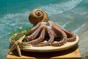 a statue of an octopus and a shell on a plate at Agorastos Hotel in Koinyra