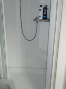 ein Bad mit einer Dusche, einem Waschbecken und einer Dusche in der Unterkunft Ballynona House in Midleton