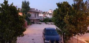 Fotografie z fotogalerie ubytování Apartments Villa Dovinefa v destinaci Ksamil + 30 fotografií