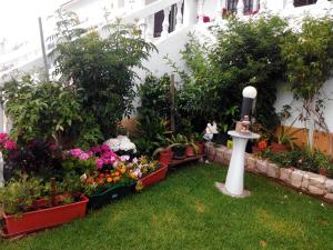 a garden with a bunch of flowers and plants at Vivenda Familia Pedro in Vila do Bispo