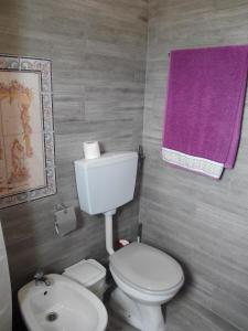 a bathroom with a white toilet and a purple towel at Vivenda Familia Pedro in Vila do Bispo