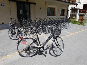 Jízda na kole v ubytování Hotel Crosal nebo okolí