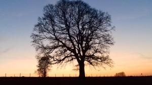 Afbeelding uit fotogalerij van Gîte de Thirifays in Chiny +2 foto's