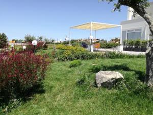 Colori del Mediterraneo - Trapani Airportにある庭