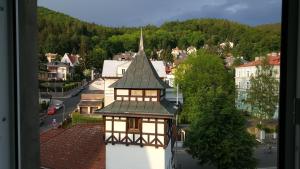 Photo de la galerie de l'établissement Nely´s Apartment, à Karlovy Vary