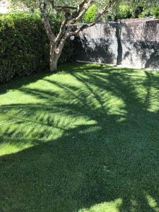 Zahrada ubytování Hotel B&B Rispescia Grosseto