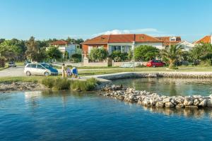 a river with a bunch of birds in the water at Apartment Veve in Privlaka +23 photos