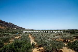 Fotografie z fotogalerie ubytování Ierapetra Garden House v destinaci Ierápetra + 11 fotografií