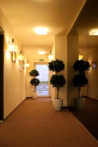 Fotografie z fotogalerie ubytování Hotel Sinchronas v destinaci Telšiai