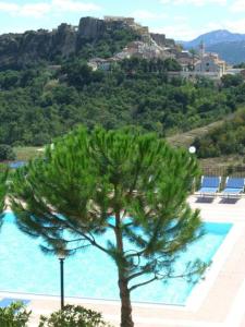 a pine tree in front of a swimming pool at Hotel Ambasciatori in Calitri