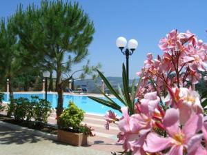 un gruppo di fiori rosa accanto a una piscina di Hotel Ambasciatori a Calitri