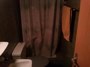 
Ein Badezimmer in der Unterkunft Forellenhof Hotel de la Truite

