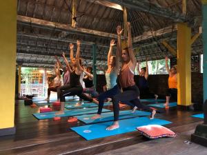 a group of people doing yoga in a yoga class at Taman Nauli Boutique Rooms in Canggu