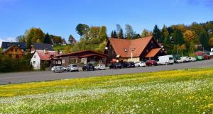 a town with cars parked on the side of a road at Apartmány pod sjezdovkou in Čenkovice