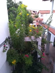 una caja de ventanas llena de flores en un edificio en Casa Aconchegante em Arraial, en Arraial do Cabo