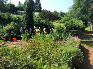 a garden with flowers and a wooden fence at Pension Raststüb'l in Sorge