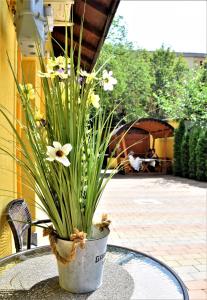 a pot with flowers sitting on a table at House Apartment Minerilor in Cluj-Napoca