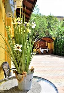クルジュ・ナポカにあるHouse Apartment Minerilorの鉢植えの花のテーブル