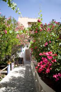 Um jardim em L'Oasi Villaggio Albergo