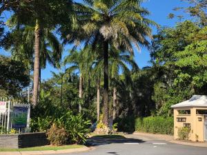 a street with palm trees in a park at Cairns Golf Course Apartment in Cairns
