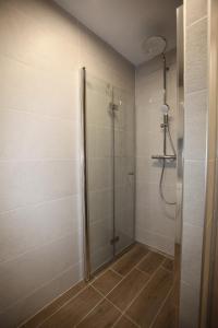 y baño con ducha y puerta de cristal. en Elegant central Apt Maribor w/Parking, en Maribor