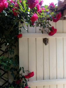 Fotografie z fotogalerie ubytování Arcadia Guesthouse v destinaci Eresós + 36 fotografií